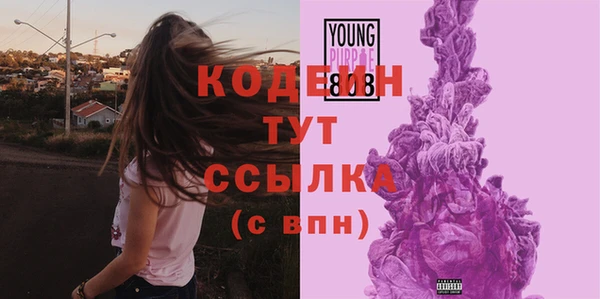 индика Бородино