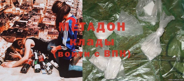 индика Бородино