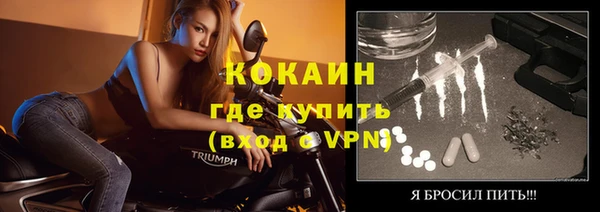 mix Богородицк