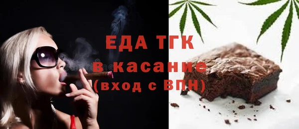индика Бородино