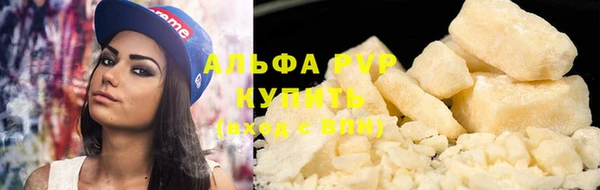 индика Бородино