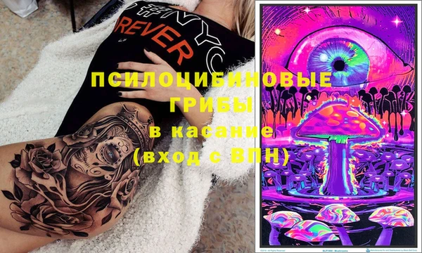 mix Богородицк