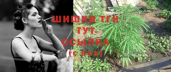 мдпв Богданович