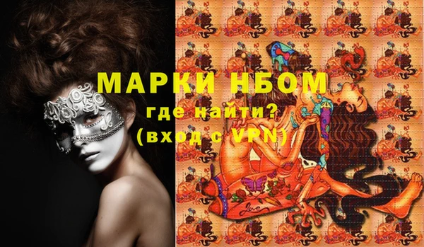 индика Бородино