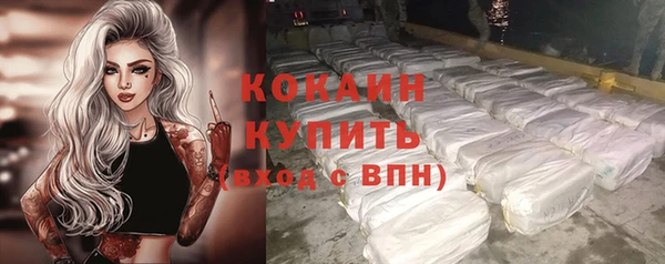 индика Бородино