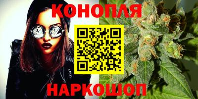 круглые Лесосибирск