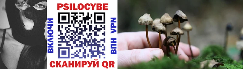 Псилоцибиновые грибы Cubensis  Саяногорск 