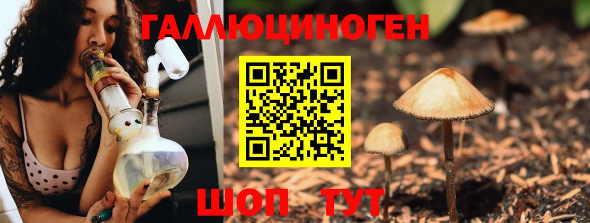 Галлюциногенные грибы Cubensis Саяногорск